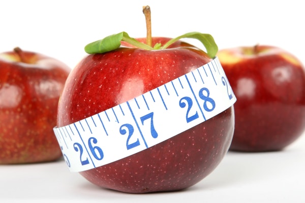 Free Exercises – You Should Try To Lose Weight and Body Fat